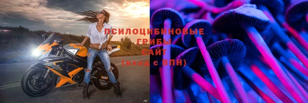 2c-b Алзамай