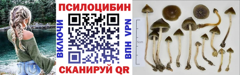 Галлюциногенные грибы прущие грибы  продажа наркотиков  Туймазы 